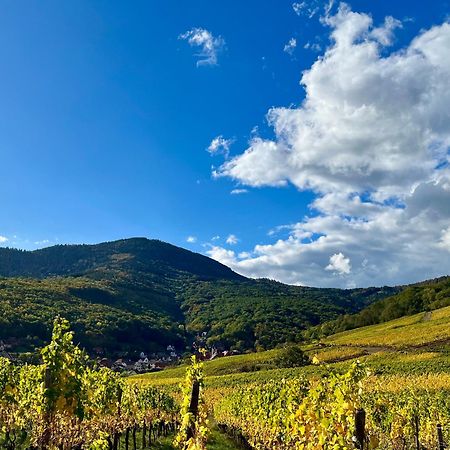 Reichsfeld Chambre Du Vigneron - Domaine Leon Bleesz מראה חיצוני תמונה